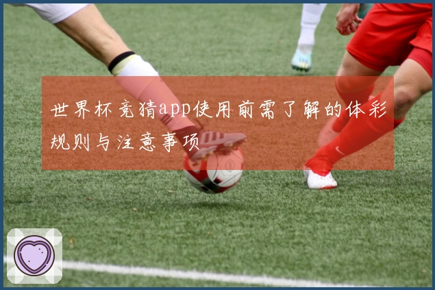 世界杯竞猜app使用前需了解的体彩规则与注意事项