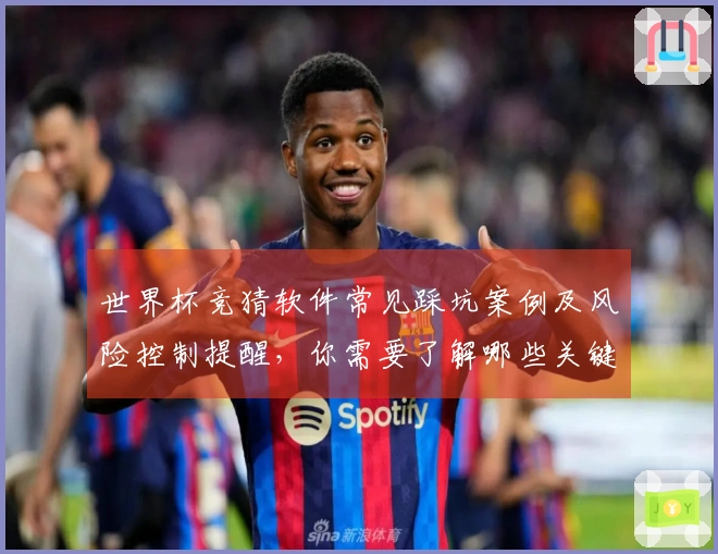 世界杯竞猜软件常见踩坑案例及风险控制提醒，你需要了解哪些关键点？