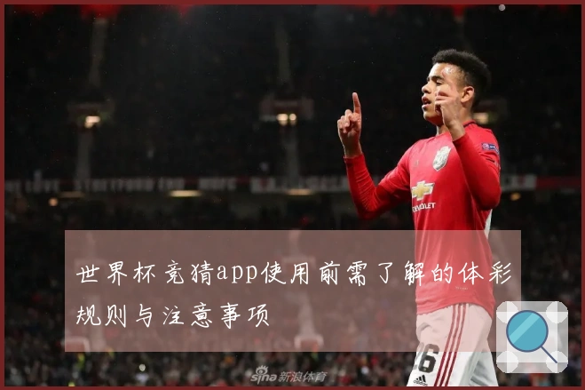 世界杯竞猜app使用前需了解的体彩规则与注意事项