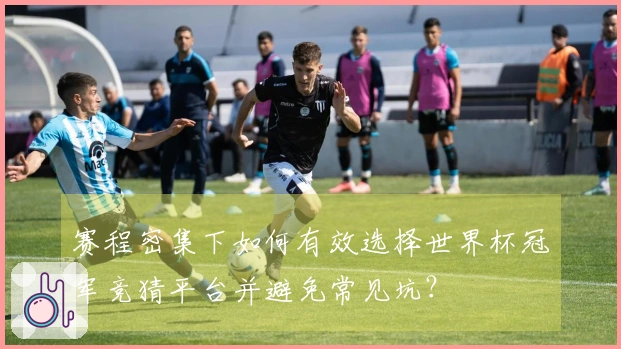 赛程密集下如何有效选择世界杯冠军竞猜平台并避免常见坑？