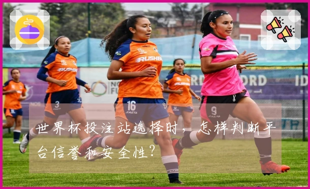 世界杯投注站选择时，怎样判断平台信誉和安全性？