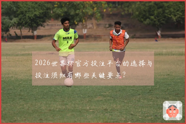 2026世界杯官方投注平台的选择与投注须知有哪些关键要点？