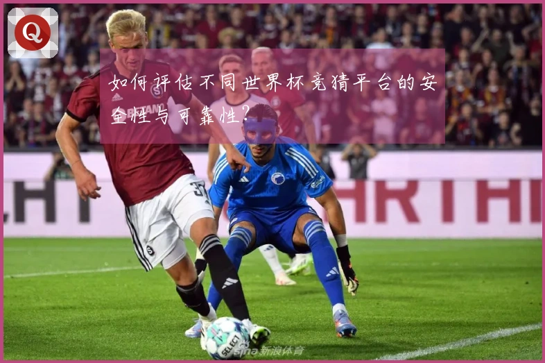 如何评估不同世界杯竞猜平台的安全性与可靠性？