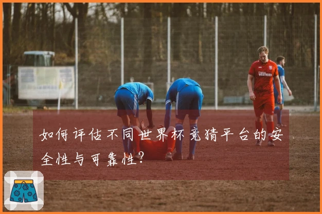 如何评估不同世界杯竞猜平台的安全性与可靠性？